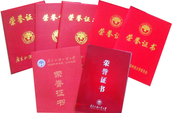 刘文艺获奖证书